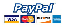 Payments logo
